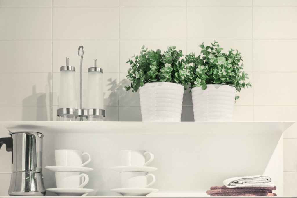vasos de plantas e utensílios em cozinha. Imagem ilustrativa para texto como decorar uma cozinha.