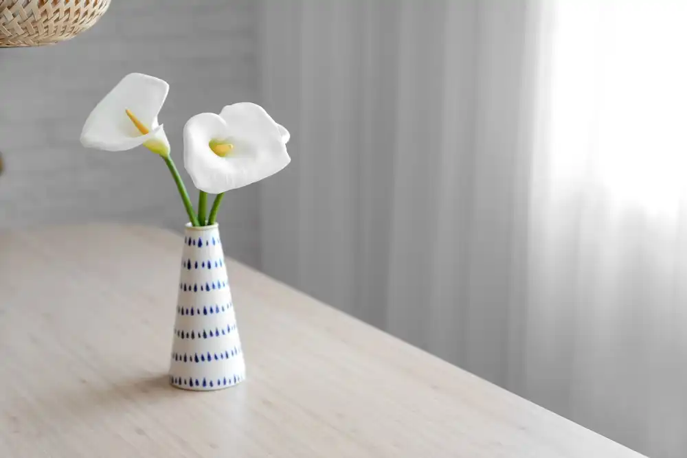 Plantas tóxicas: saiba quais evitar para proteger seu apartamento planta toxica copo de leite 1 2.jpg Plantas tóxicas: saiba quais evitar para proteger seu apartamento